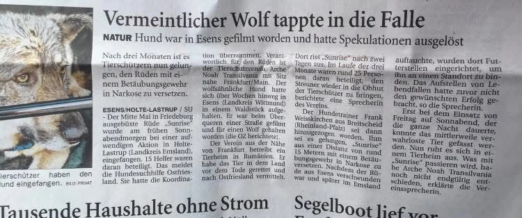 Zeitungsartikel