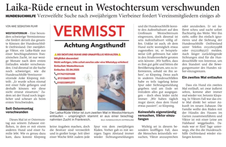 Zeitungsartikel
