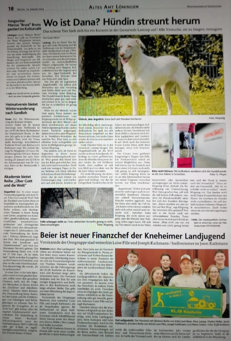 Zeitungsartikel