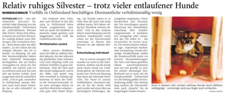 Zeitungsartikel