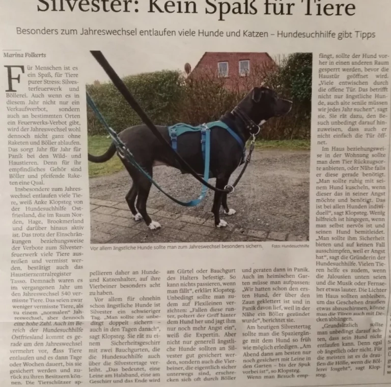 Zeitungsartikel