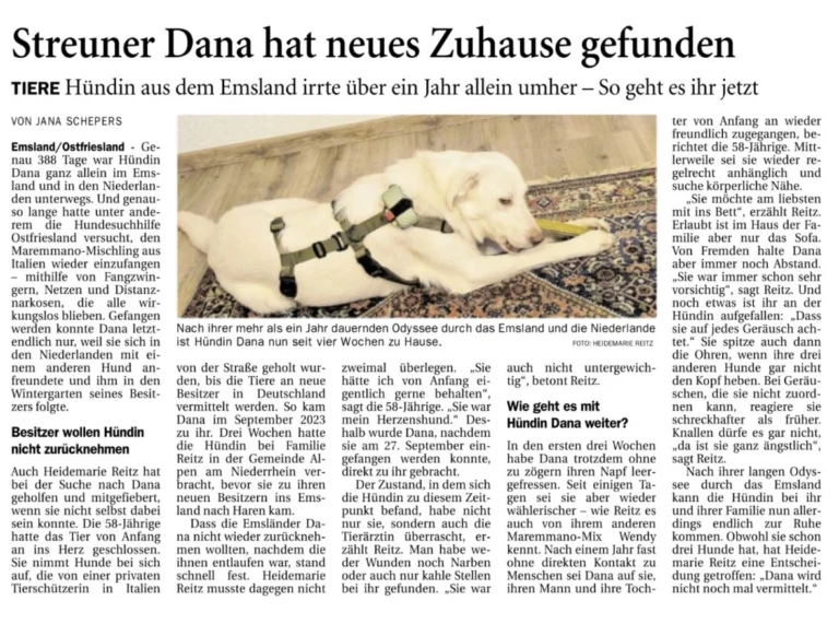Zeitungsartikel