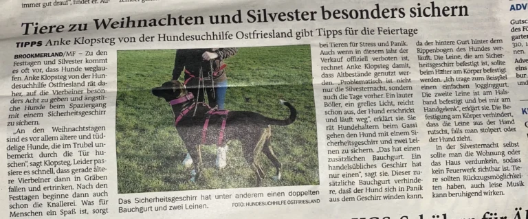 Zeitungsartikel