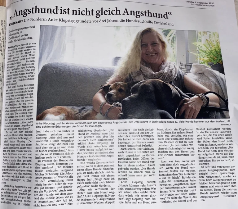 Zeitungsartikel